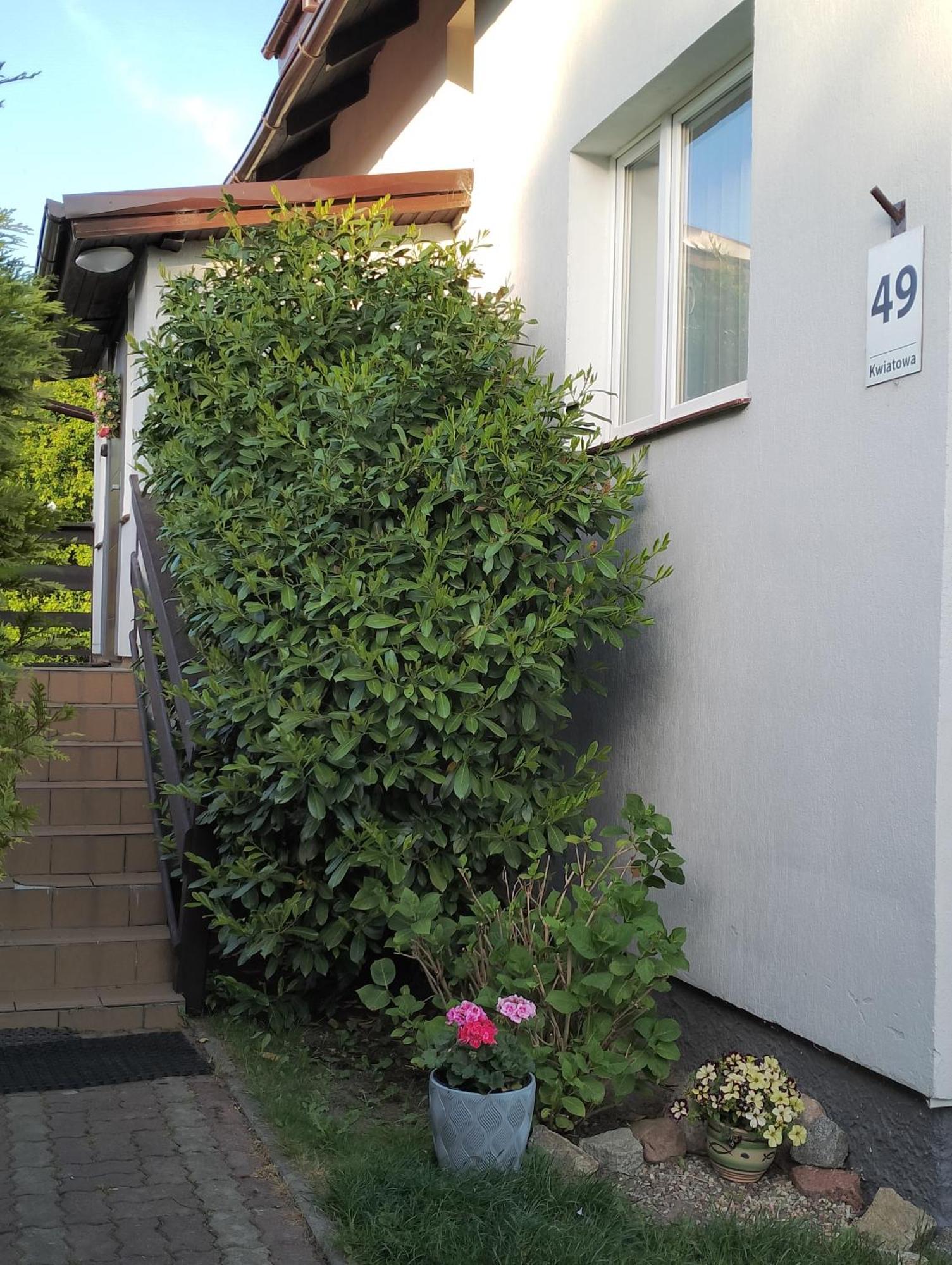 Apartamento Cichy Zakatek Sianożęty Exterior foto